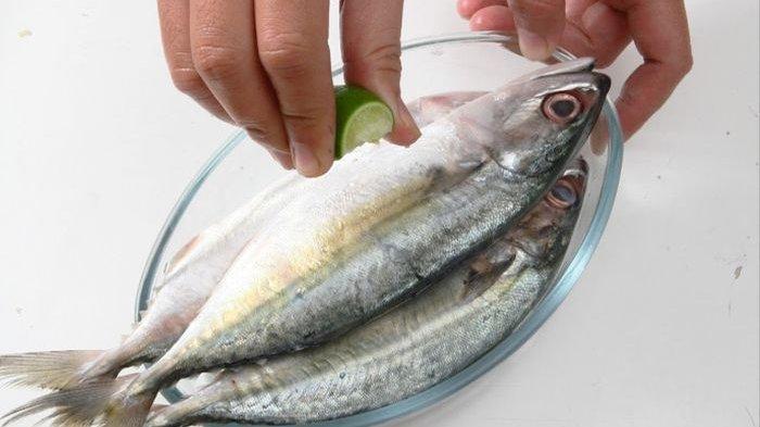 makanan yang dilarang untuk ibu menyusui
